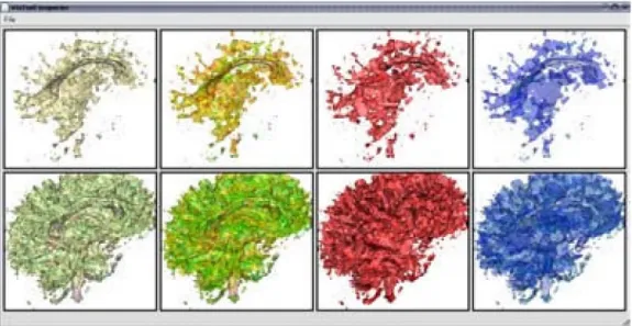 Figure 9:  VisTrails Spreadsheet showing the results of multiple visualizations of diffusion tensor data