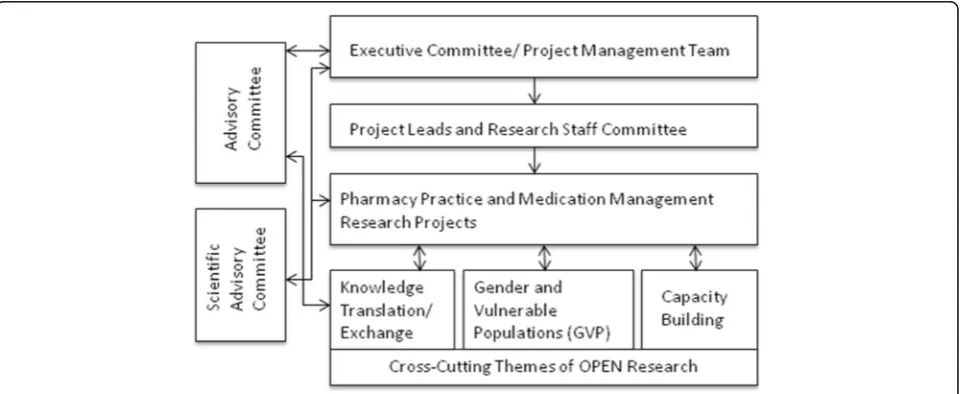 Fig. 1 OPEN organisational structure