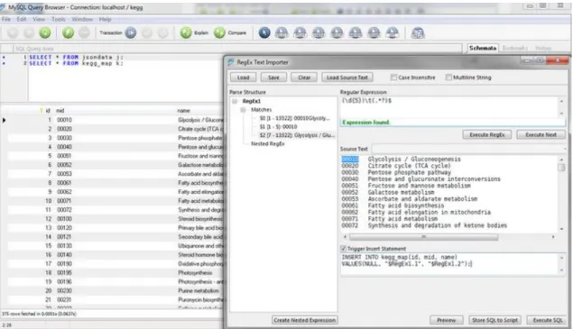 Fig 17 Using the undocumented RegEx Text Import Feature of the MySQL Query Browser v1.2.17 to perform sim- sim-ple ETL tasks