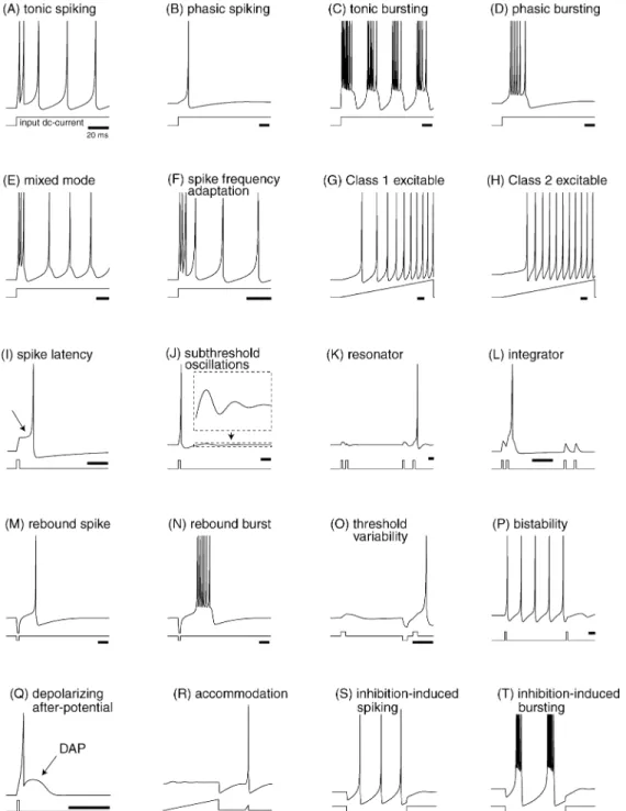 Fig. 1. Summary of the neuro-computational properties of biological spiking neurons. Shown are simulations of the same model (1) and (2), with different choices of parameters
