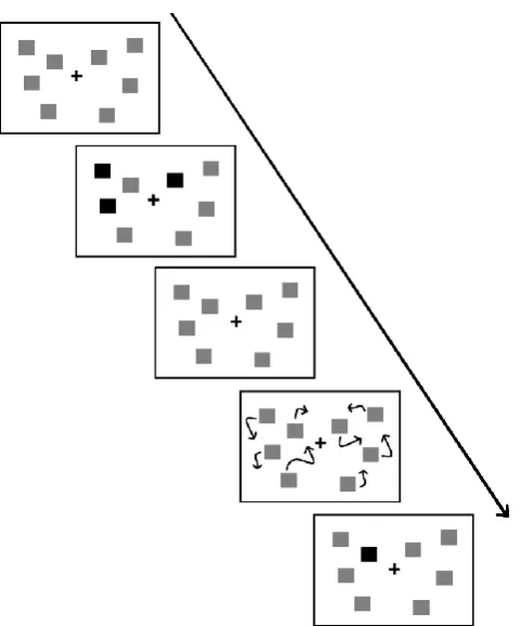 Figure 1.2 Schematic representation of a MOT task 