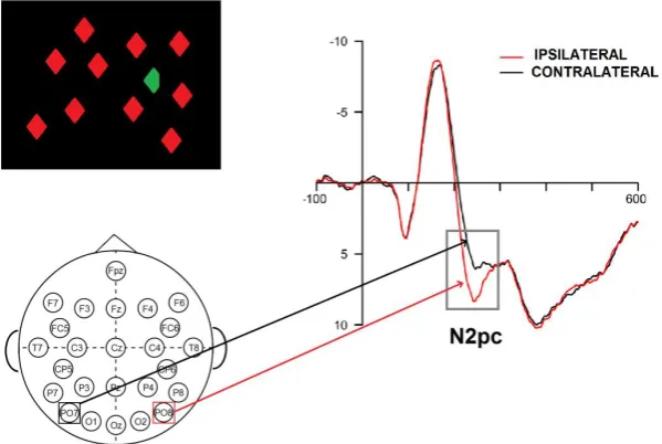Figure 1.5 N2pc as elicited by a target detection task 