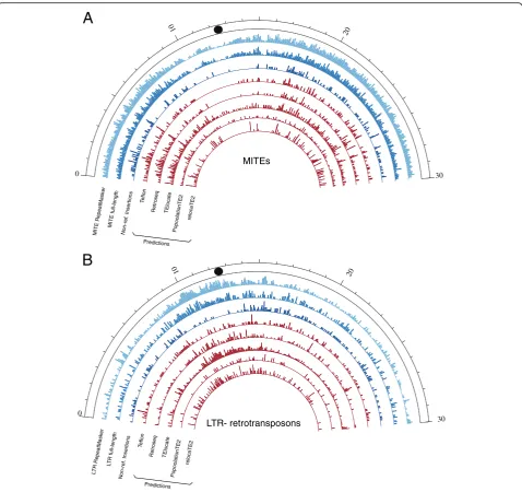 Fig. 1 Density of MITEs (Track 1 shows the density of all elements annotated in the chromosome by RepeatMasker
