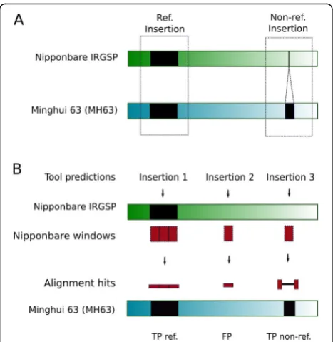 Fig. 2 Individual validation of predicted insertions. Black boxesrepresent TE annotations in Nipponbare IRGSP (green rectangle) andMH63 (blue rectangle) assembled genomes