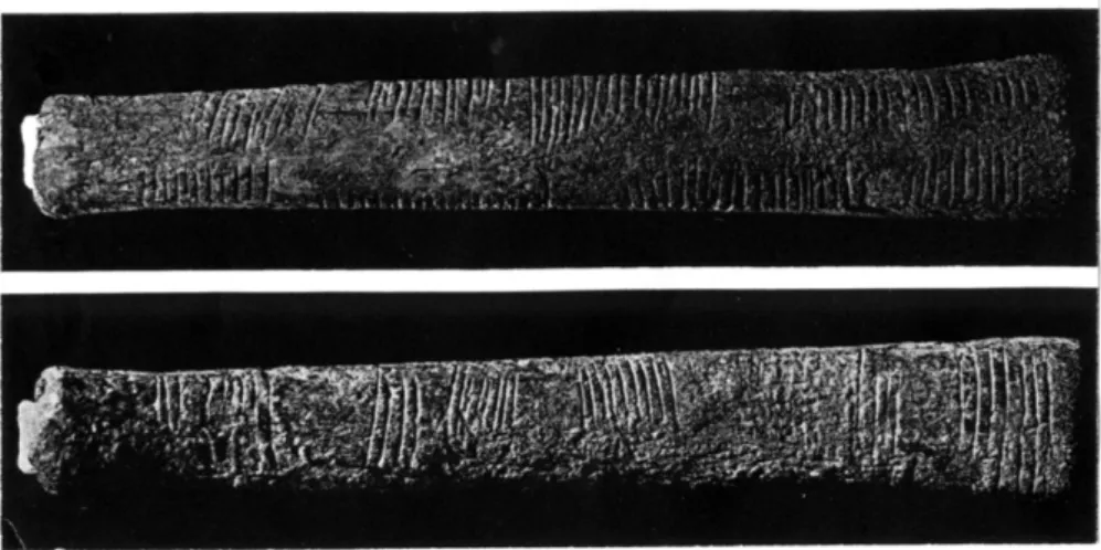 Figure 1.8: The Ishango bone dated to the upper Paleolithic era