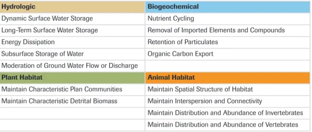 Table 2.4 Functions of Riparian Wetlands (Brinson et al., 1995)