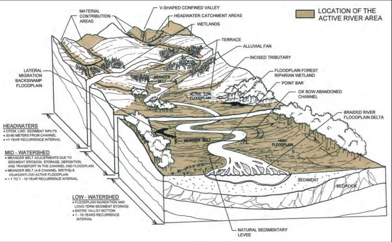Figure 1.1 – The domminant processes and disturbance regimes of the active river area.