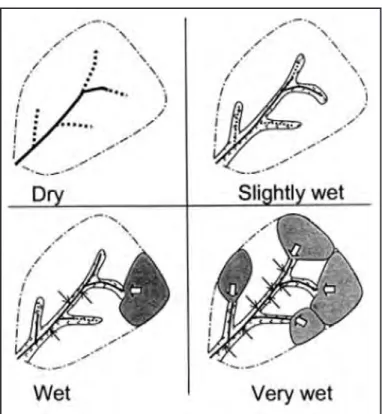 Figure  2.2  –  “Conceptual  view  of  dynamic,  hydrologically  active areas in headwaters
