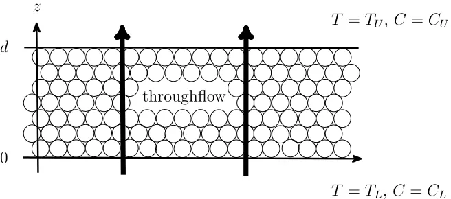 Figure 1: Schematic representation of a cross-section of the system.