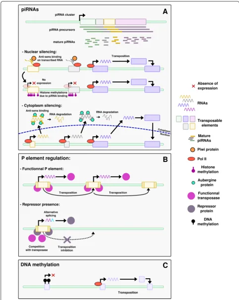 Fig. 1 (See legend on next page.)