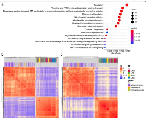 Fig. 7 co-expression modules with mitochondrial genes and ribosome genes are negatively correlated with intronic TEs