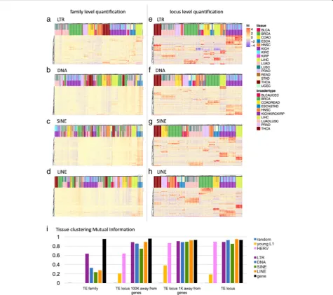 Fig. 3 Tissue clustering based on transposable elements. Heatmap showing the tissue clustering results based on the top 150 TEs with thelargest variance of each class