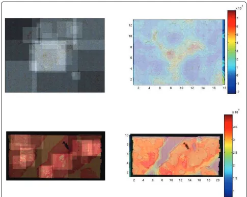 Figure 3 Left: Histopathological image. Visited regions by pathologist are represented by higher intensity areas