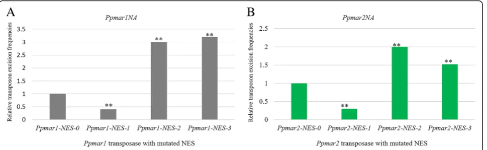 Fig. 6 atransposase. Statistical significance of the differences: ** very significant (andcatalyzed by Transposition frequencies of Ppmar1NA catalyzed by Ppmar1 transposase with mutated NES