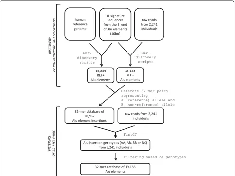 Fig. 2 Overview of the discovery methods. Potential polymorphic Alu elements were identified from the raw reads of high-coverage WGS data(REF– Alu elements) and the reference genome (REF+ Alu elements)