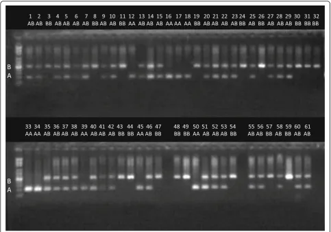 Fig. 7 A gel electrophoretic image showing the experimental validation of polymorphic Alu element insertion (REF– elements)