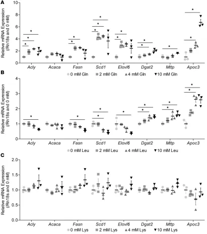 Figure 8. The effect of increasing glutamine, leucine, and lysine concentrations on DNL synthesis, processing, and VLDL packaging gene expression in AML12 hepatocytes