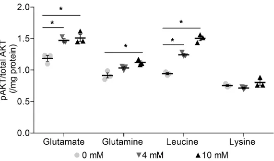 Figure 9. Intracellular pAKT levels increase dose dependently in response to glutamate, glutamine, and leucine but not lysine concentrations in AML12 hepatocytes