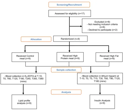 Figure 1. Study design flowchart. Seventeen males were screened to examine whether they met the inclusion criteria of the study