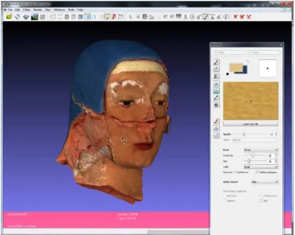 Fig. 5: A snapshot of MeshLab during the repainting of the head section of the Madonna