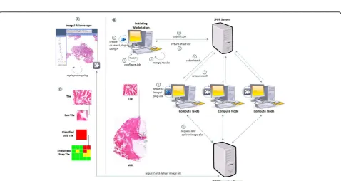 Figure 1 ImageJ virtual microscope. ImageJ was upgraded to a virtual microscope by connecting a multi format WSI streaming server as animage data provider.