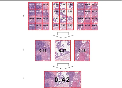 Table 2 Entropy values for tested virtual slides