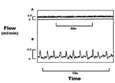 Figure 3Flow tracings from the renal portal vein of B) 10 min secBufo marinusshowing sharp extra pulsations at: A) 50 min post injection,flow values shown for renal portal vein; and B) 55 min postinjection with recording expanded, flow values shown forpuls