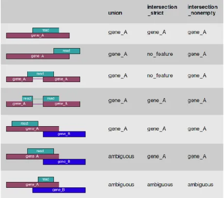 Figure 3.1  Illustration of the effect of the model in HTSeq-count. There are three models  in HTSeq-count, and the model of intersection-strict was used in the thesis
