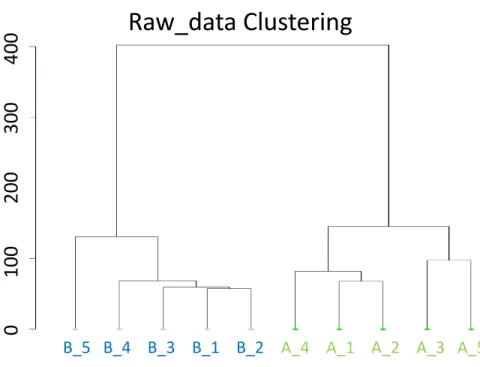 Figure 4.1  Hierarchical clustering based on the raw counts. Hierarchical clustering based  only  the  raw  counts  of  ten  samples  still  can  group  samples  from  the  same  condtions  together
