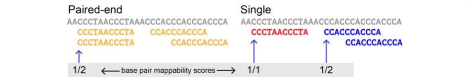 Fig. 1 Comparison of single-end and paired-end TE mappability. Each point represents 1 TE sequence