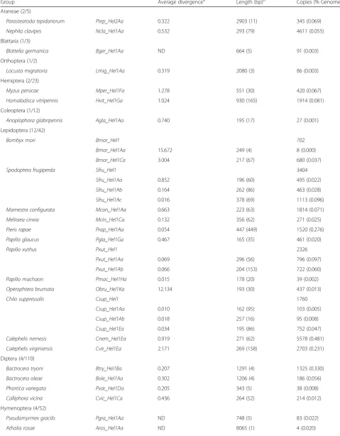 Table 1 Characteristics of 35 Helitron exemplars from 29 species