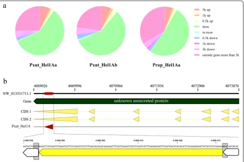 Fig. 5 Gene association of Hel1A Helitrons in P. xuthus and P. rapae. a Overall proportions of Pxut_Hel1Aa, Pxut_Hel1Ab and Prap_Hel1Aa in therespective genome are represented as pie charts