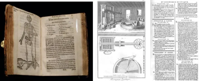 Figure 2. Left: Image separate from text. from William Bullein’s A Dialogue Against the Fever Pestilence from 1593