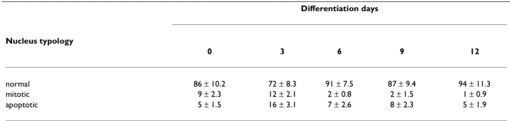 Table 1: GL15 nucleus morphology analysis during differentiation phases