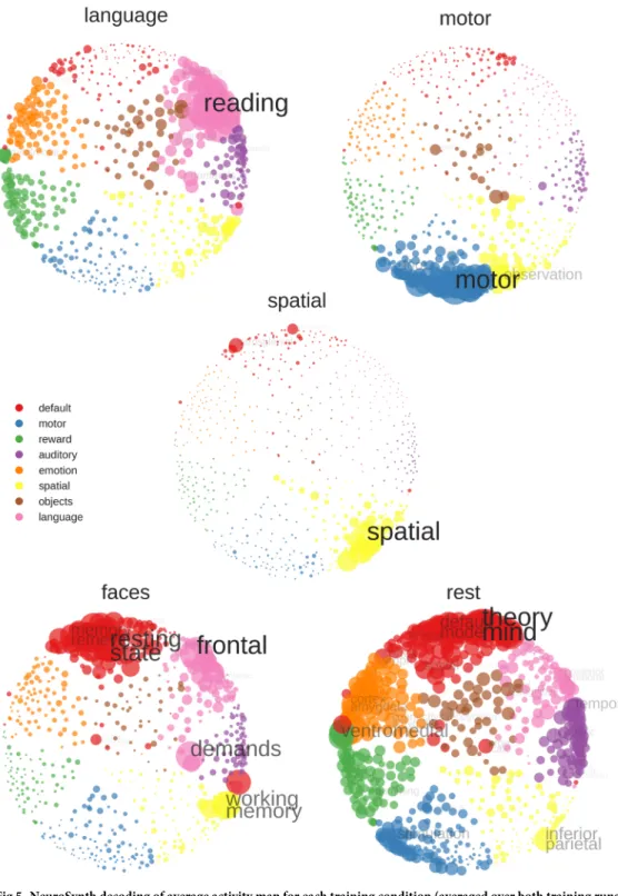 Fig 5. NeuroSynth decoding of average activity map for each training condition (averaged over both training runs).