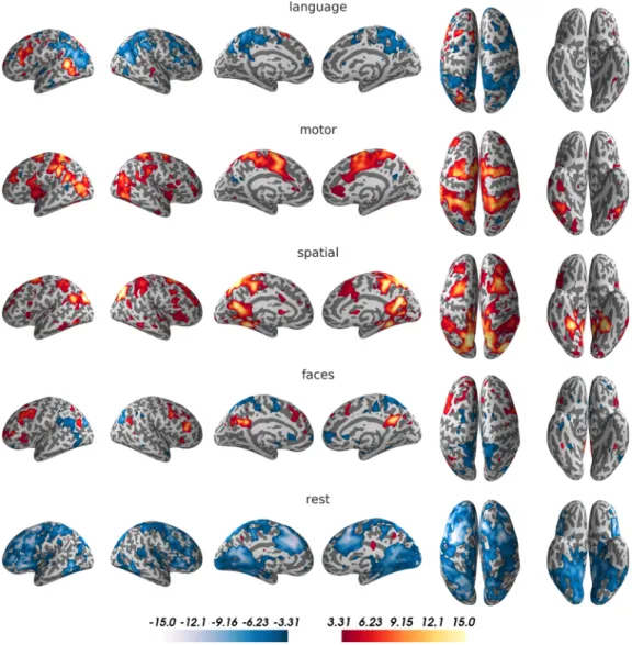 Fig 2. Activity maps for the five conditions of the training data. For visualization purposes, t-maps for the comparison of each condition against the remaining four were generated (smoothed with an 8mm kernel and thresholded at t = 3.31, corresponding to 