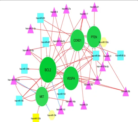Fig. 2 the sub‑network showed the potential hub gene nodes (nodes with over 9 in degrees): BCL2 (13), VEGFA (12), CCND1 (11), PTEN (11), MET (10) and miRNAs that regulated them