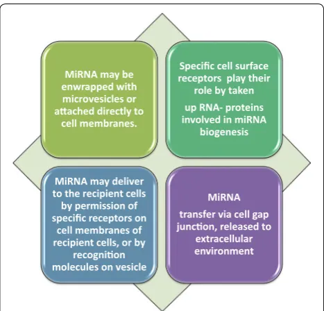 Fig. 1 Possible ways to release circulating miRNAs; 3 pathways find the most important nodes