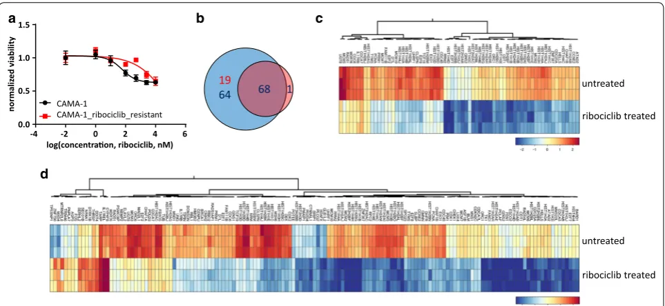Fig. 1 Transcriptional response to ribociclib in sensitive and ribociclib-resistant cells