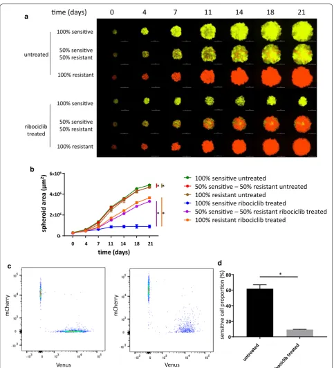 Fig. 2 Proliferation of mono- and coculture of sensitive and resistant cells under ribociclib treatment