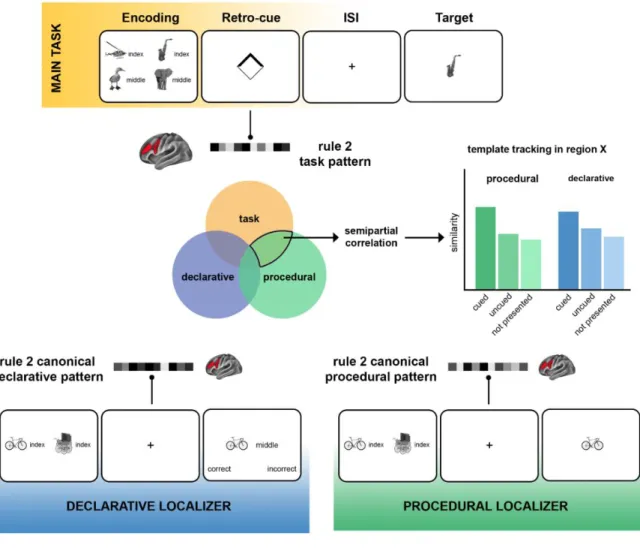 Figure 4. Schematic of the canonical template tracking procedure. For each region 248 