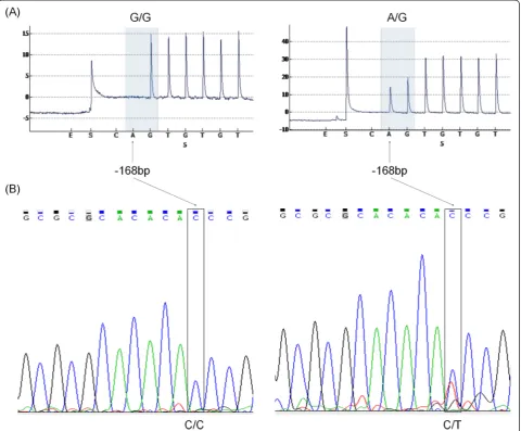 Figure 6 Detection of the SNP in -168bp (g.-168C > T) in the EAAT2 promoter. Pyrogram (A) and Sanger sequencing (B) of the homozygoteWT and heterzygote samples.