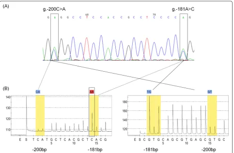 Figure 3 Pyrograms using forward and reverse strands for sequencing. (A). SNPs g.-200C > A;-181A > C are indicated in rectangles on theSanger sequence traces