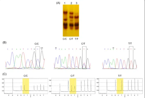 Table 6 Comparison of genotypes identified by SSCP and pyrosequencing