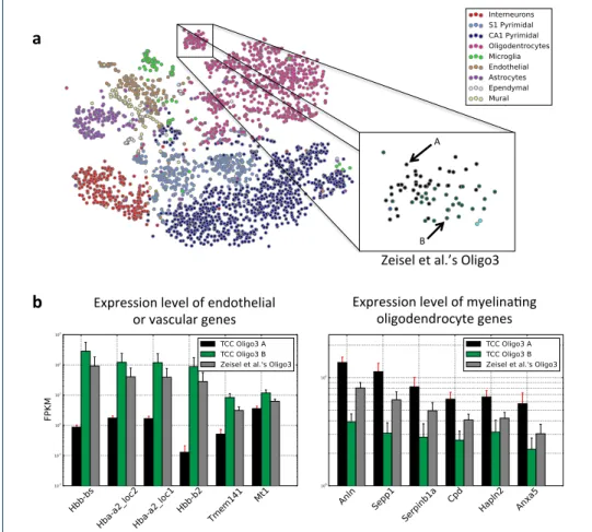 Figure 7 Analysis on transcript-compatibility counts refines the classification of mouse brain cells