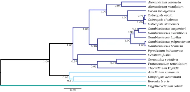Figure 4. Bayesian phylogenetic inference of a Gonyaulacales species tree under the MSC model with 62 single copy genes from 20 taxa