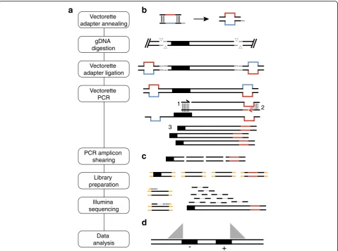 Fig. 1 Steps in the TIPseq protocol. a Steps in TIPseq are shown from top to bottom in a vertical flow chart