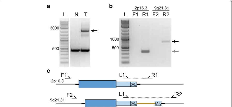 Fig. 3 Approaches to PCR validation of insertions. a Agarose gel electrophoresis of a somatic PCR validation