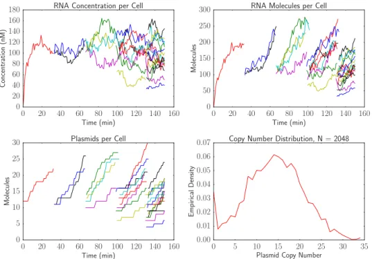 Figure 7: A simulation of plasmid replication and transcription over a cell lineage. The first three plots show trajectories of RNA and plasmid counts and concentrations over time