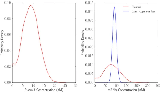 Figure 8: Distributions of plasmid and mRNA concentration across a cell lineage. The plasmid concentration is distributed around a mean of 10 nM